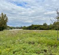 GRAVITAS | Na PREDAJ | rekreačný developerský pozemok | Rusovce - Zeleň na developerských pozemkoch v Bratislave - Rusovciach, ulica Pri Pieskovom Hone.