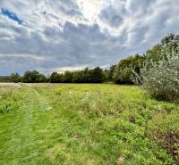 GRAVITAS | Na PREDAJ | rekreačný developerský pozemok | Rusovce - Zeleň na developerských pozemkoch v Bratislave - Rusovciach, Pri Pieskovom Hone, s chodníkom.