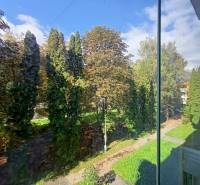 Veľký 2 izbový byt na Severe na predaj - Výhľad na zelené stromy z 2-izbového bytu na Severnej ulici v Martine.