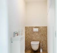 PREDAJ  kompletne prerobený 3 izbový rodinný dom, Nitra - centrum - Toaleta s umývadlom, stenami vo svetlých farbách a dlažbou v rodinnom dome.