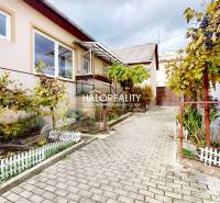 Predaj, rodinný dom Lučenec, centrum - EXKLUZÍVNE HA... - V Lučenci rodinný dom s terasou, záhradkou a vínnou révou na dláždenej cestíčke.