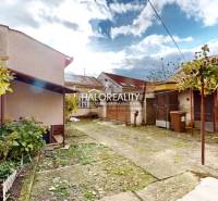 Predaj, rodinný dom Lučenec, centrum - EXKLUZÍVNE HA... - Dvor rodinného domu v Lučenci s viničom a rozmanitou vegetáciou.