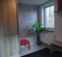 NOVOSTAVBA: 6-izbová CHATA, VL pozemok 484 m2 v Martine  - Interiér chaty s červeným stolíkom, rastlinou, radiátorom a stenou s dreveným dekorom.