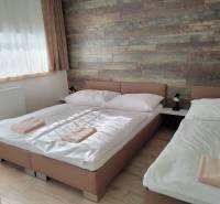 NOVOSTAVBA: 6-izbová CHATA, VL pozemok 484 m2 v Martine  - Izba v chate s dvoma posteľami, drevenou stenou a podlahou s dreveným dekorom.