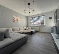 3 izbový zrekonštruovaný byt na prenájom - Martin - Obývacia izba v 3-izbovom byte s pohovkou a podlahou s dreveným dekorom.