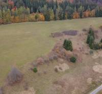 Investičný pozemok pre individuálnu rekreáciu- Čertov 91.147m2 - Lúka obklopená lesmi na Rekreačných pozemkoch, Lazy pod Makytou, Čertov s jesennou scenériou.