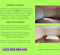 Vidiecky dom v Zemplínskej Teplici - Ponuka rodinného domu v Zemplínskej Teplici na Okružnej ulici, veľký pozemok 2240 m².