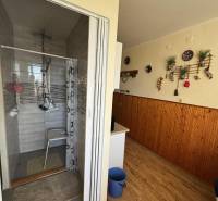 Šahy – 3i Byt v Centre Mesta s Balkónom  - Kúpeľňa s sprchovým kútom a podlahou s dreveným dekorom v 3-izbovom byte.