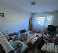 Šahy – 3i Byt v Centre Mesta s Balkónom  - Obývacia izba v 3-izbovom byte s podlahou s dreveným dekorom a nábytkom.