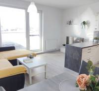 | 2-izbový byt, ul. Predmerského VINOHRADY | Trenčín  - Interiér 2-izbového bytu s kuchyňou, pohovkou a podlahou s dreveným dekorom.