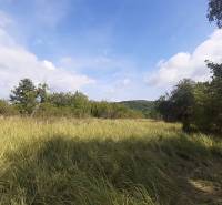 Pozemok 5.200 m2 , šírka 35 m, Horné Jabloňovce (SM - 849)   - Trávnatý pozemok na Rekreačných pozemkoch v Jabloňovciach, Horné Jabloňovce obklopený stromami.