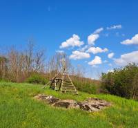 Pozemok 7.000 m2, šírka 55 m, Žemberovce, Cena DOHODOU (SM–850) - Zeleň a drevená štruktúra v pozemkoch na bývanie v Dolných Žemberovciach, Žemberovce.