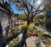 Predáme záhradu s možnosťou výstavby na Strednej ulici v Ružinove - Záhrady na Strednej ulici v Bratislave – Ružinove s chodníkom a stromami.