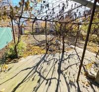 Predáme záhradu s možnosťou výstavby na Strednej ulici v Ružinove - Záhrady na Strednej ulici v Bratislave - Ružinove s popadaným lístím viniča.