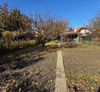 Predáme záhradu s možnosťou výstavby na Strednej ulici v Ružinove - Jesenná záhrada na Strednej ulici v Bratislave-Ružinove s chodníkom a stromami.