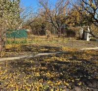 Predáme záhradu s možnosťou výstavby na Strednej ulici v Ružinove - Jesenná záhrada v Bratislava - Ružinov, Stredná, s opadaným lístím a stromami.