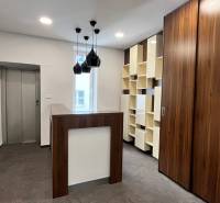 Prenájom nadštandardne zariadených kancelárií  v centre, 151 m2 - Kancelárie s drevenými prvkami, výťahom, moderným osvetlením a tmavou podlahou s dreveným dekorom.