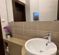 Prenájom nadštandardne zariadených kancelárií  v centre, 151 m2 - Kúpeľňa s umývadlom a kvetmi, na ulici Radlinského v kancelárii s keramickými obkladmi.