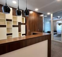 Prenájom nadštandardne zariadených kancelárií  v centre, 151 m2 - Recepcia s dreveným dekorom a moderným osvetlením v kanceláriách na Radlinského ulici.