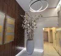 Prenájom nadštandardne zariadených kancelárií  v centre, 151 m2 - V Kanceláriách sú plastické steny, svetlá inštalácia a dekorácia vo váze.