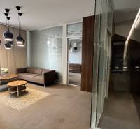 Prenájom nadštandardne zariadených kancelárií  v centre, 151 m2 - Kancelárie s pohovkami a konferenčným stolíkom, podlaha s dreveným dekorom, sklenené priečky.