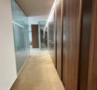 Prenájom nadštandardne zariadených kancelárií  v centre, 151 m2 - Chodba v kanceláriách so sklenenými priečkami, podlaha s dreveným dekorom.