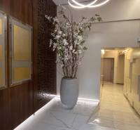 Prenájom nadštandardne zariadených kancelárií  v centre, 151 m2 - Kancelárie s vázou so suchými kvetmi, drevenými dekoráciami a zaujímavým osvetlením nad vstupom.