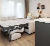 PRENÁJOM - 1 izbový byt v projekte Ovocné sady - Izba s rozkladacou pohovkou, podlaha s dreveným dekorom, svetlé závesy, 1-izbový byt.