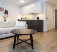 PRENÁJOM - 1 izbový byt v projekte Ovocné sady - Obývacia izba s kuchynským kútom v 1-izbovom byte, podlaha s dreveným dekorom.