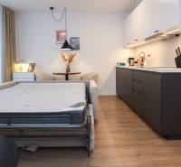 PRENÁJOM - 1 izbový byt v projekte Ovocné sady - Interiér 1-izbového bytu s kuchynskou linkou, pohovkou a podlahou s dreveným dekorom.