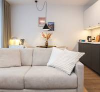 PRENÁJOM - 1 izbový byt v projekte Ovocné sady - Obývacia časť s pohovkou a kuchynským kútom v 1-izbovom byte s podlahou s dreveným dekorom.