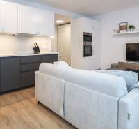 PRENÁJOM - 1 izbový byt v projekte Ovocné sady - Obývačka 1-izbového bytu s kuchynskou linkou, gaučom a podlahou s dreveným dekorom.