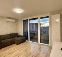 Na prenájom novostavba 2i bytu s parkingom, PRÚDY I., Trnava - Obývačka v 2-izbovom byte s pohovkou, jedálenským stolom a podlahou s dreveným dekorom.