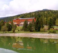 Útulná chata polosamota Tále Nízke Tatry - Horský hotel obklopený lesmi na Táloch v Bystrej s jazierkom v popredí.