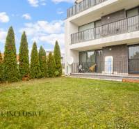 NA PREDAJ 3-IZB. BYT S TERASOU A ZÁHRADKOU, DUN.STREDA - Záhrada pri 3-izbovom byte v Dunajskej Strede s terasou a živým plotom.