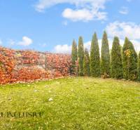 NA PREDAJ 3-IZB. BYT S TERASOU A ZÁHRADKOU, DUN.STREDA - Trávnik obklopený živým plotom a okrasnými stromami v Dunajskej Strede.