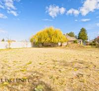 NA PREDAJ 4+1-IZBOVÝ ROD. DOM, VEĽKÉ KOSIHY - Rodinný dom vo Veľkých Kosihách s rozsiahlym trávnatým pozemkom a stromom na dvore.