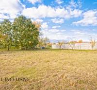 NA PREDAJ 4+1-IZBOVÝ ROD. DOM, VEĽKÉ KOSIHY - Záhrada pri rodinnom dome vo Veľkých Kosihách s trávnikom a stromami.