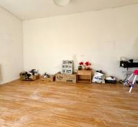 Na predaj 3i rodinný dom – Družstevná pri Hornáde, Košice - okolie - Izba v rodinnom dome s podlahou s dreveným dekorom a rôznymi predmetmi pri stene.