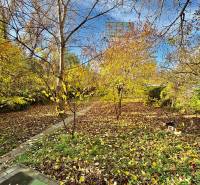 RADO I NA PRENAJOM I ZARIADENY 1-IZBOVY DOM I BA-PRIEVOZ - Záhrada pri rodinnom dome na Hraničnej ulici v Bratislave - Prievoz v jesennom období.