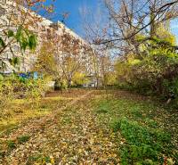 RADO I NA PRENAJOM I ZARIADENY 1-IZBOVY DOM I BA-PRIEVOZ - Jesenná záhrada pri paneláku na Hraničnej ulici v Bratislave - Prievoze.