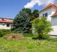 INVESTIČNÁ PRÍLEŽITOSŤ – Na predaj Komplexné centrum v Nitre  - Záhrada rodinného domu na ulici Pod sokolom v meste Nitra s ihličnatým stromom.