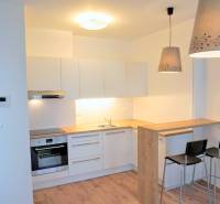 MODERNÝ 2i byt, NOVOSTAVBA, CENTRUM, Suché Mýto, Staré Mesto - Kuchyňa v 2-izbovom byte s barovým pultom a vstavanými spotrebičmi.