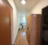 PREDAJ-  2 izbový byt neďaleko Nitry v obci Jarok - Chodba v 2-izbovom byte so vstupom do kúpeľne a dekorom dreva.