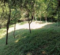 Na predaj  dom v obci Vyhne iba 400m od Vodného raja.  - Záhrada na ulici Vyhne, stromy a tráva blízko miesta pre rodinný dom.