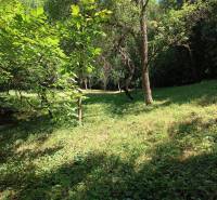 Na predaj  dom v obci Vyhne iba 400m od Vodného raja.  - Lesný porast na svahovitom teréne vhodný pre nový rodinný dom v lokalite Vyhne.