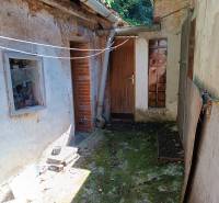 Na predaj  dom v obci Vyhne iba 400m od Vodného raja.  - Nádvorie staršieho rodinného domu na ulici Vyhne, so zeleným porastom na zemi.