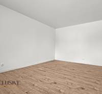 IDEÁLNY 1 IZBOVÝ BYT | VEĽKÉ RIPŇANY | TOPOĽČANY - Priestranná miestnosť v 1-izbovom byte s podlahou s dreveným dekorom a bielymi stenami.