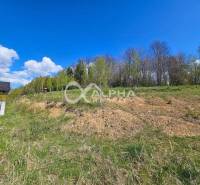 Stavebné pozemky v lokalite Slnečná úboč, Levočská Dolina - Pozemok v Levočskej doline s výhľadom na les, ideálny pre bývanie v Levoči.