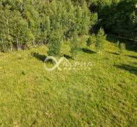 EXKLUZÍVNE stavebný pozemok, Nálepkovo časť Tretí Hámor, okres Gelnica - Trávnaté pozemky - bývanie obklopené stromami na ulici Tretí Hámor v Nálepkove.